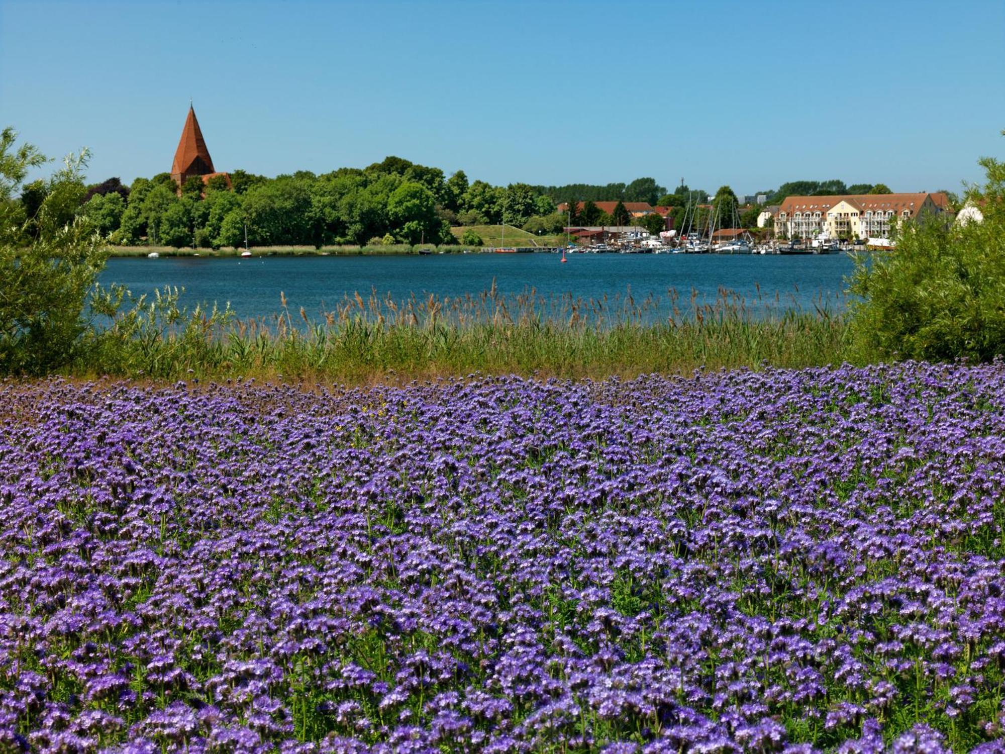 Inselbude Insel Poel Kültér fotó